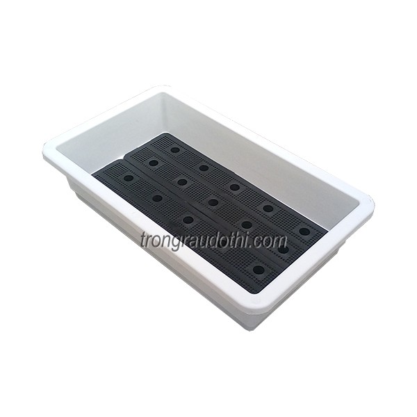 Khay trồng rau sạch cỡ trung - Ảnh 1